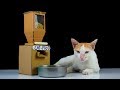 Haz Un Contenedor De Comida Para Gatos   ¡Es Fácil!   Inventos Caseros   Diy