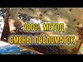 Изолятор Миленина 100% замена маток в основных семьях, методика борьбы с клещом Варроа