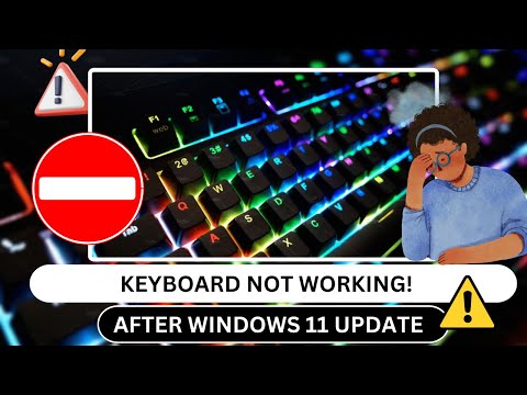 Fix Laptop Keyboard Not Working After Windows 11 Update Quick Solution IT WALA