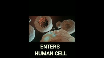 Corona virus 3D Animated Video || How it spreads || The actual story of Corona Virus | #Coronavirus