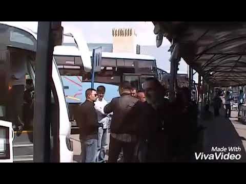 2011 წმინდა მიწაზე