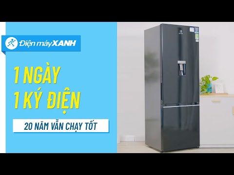 Tủ lạnh Electrolux 335L: thon gọn, bền bỉ, tiết kiệm điện (EBB3742K-H) • Điện máy XANH