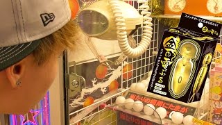 黄金の電マをGETするぞー【UFOキャッチャー】　PDS