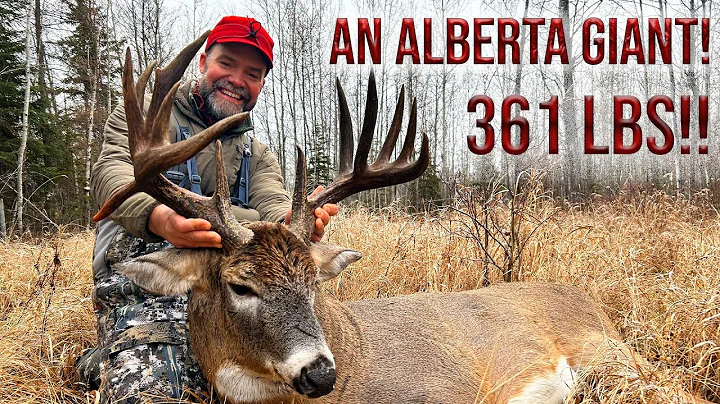 Alberta Whitetail Deer Hunt