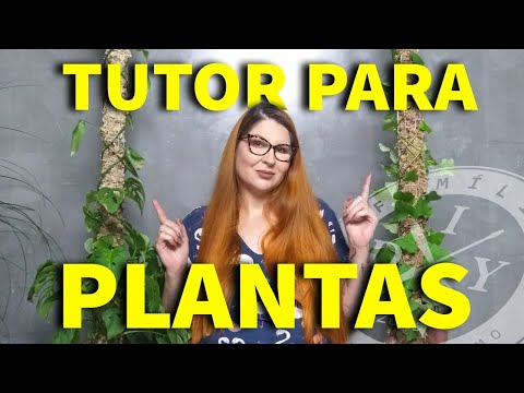 COMO FAZER TUTOR PARA PLANTA TREPADEIRA - FAMÍLIA DIY