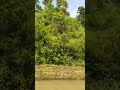 Sangu River Sangu River