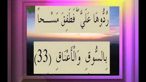 القرآن الكريم سورة ص الأية 33