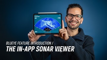 The In-app Sonar Viewer | Blueye Apps and Software