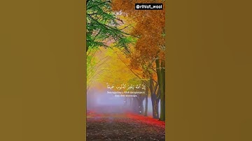 ✨ تلاوة آيات تُحيي القلوب وتغسل الهموم بصوت خاشع 🌙  #القرآن_الكريم #تلاوة_مؤثرة #رحلة_وعي #خشوع