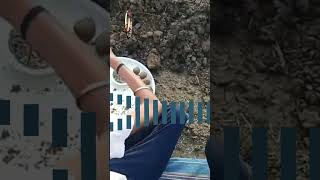 58,200 Seedballs Made Simultaneously! 🌱 Massive Van Mahotsav Green Record Set | IBR