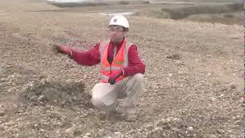 Medmery managed realignment scheme