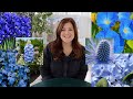 20+ Plants With Blue Flowers! 💙💙💙// Garden Answer