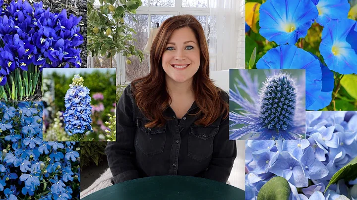 20+ Plants With Blue Flowers! 💙💙💙// Garden Answer - DayDayNews