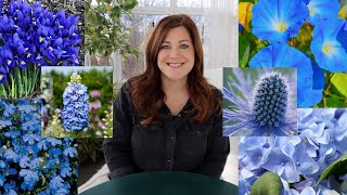 20+ Plants With Blue Flowers! 💙💙💙// Garden Answer