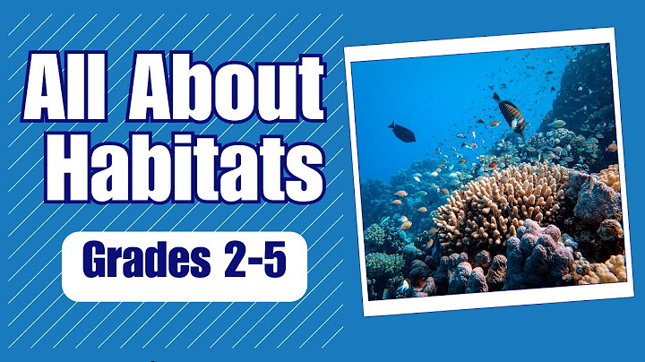 All About Habitats: Kids' Guide to Tundra, Deserts, Grasslands, Forests, and More