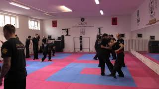 Wing Chun CRCA Combat Techniques 22
