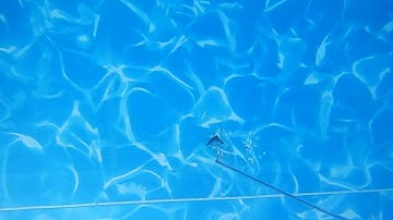 Milton Pool Leak Detection - Liner Leak and Underwater Repair - Pool Buoy Corp. Leak Detection