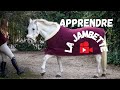 TUTO : Comment apprendre la jambette à son cheval ?