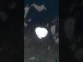 A Lost Wanderer — Ijiraq (Saturn XXII) Transiting Iapetus (Saturn VIII)