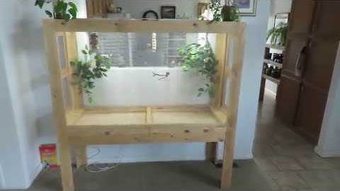 How to build a Finch Aviary Part 3 Flight Cage