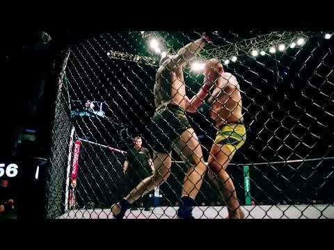 UFC:Гловер Тейшейра против