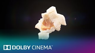 Movies Matter | Dolby Cinema | Dolby