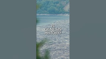 A "Forest" at the BOTTOM Of a Lake?!?