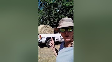 #unloading a #roundbale of #hay  #horselife #country #countrygirl #truck #farm #horse #ranch #work