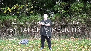 Bagua Linked Palms The Story So Far