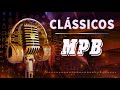 MPB As Melhores - Melhores Músicas MPB de Todos os Tempos