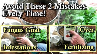 How to Sterilize and Fertilize Seed Starting Mixes: Stop Fungus Gnats & Don't Over Feed Your Plants by Gary Pilarchik 2,999 views 3 months ago 7 minutes, 2 seconds