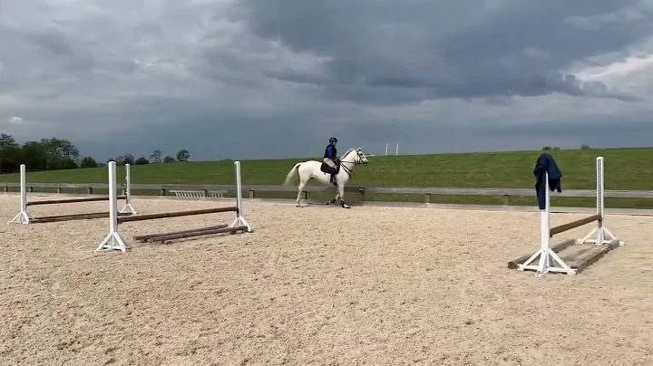 Four Schools Farm Boyd Martin Clinic 2020