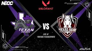 Texan Esports VS. Texas A&M Esports NECC West-Central A | Valorant | Division III