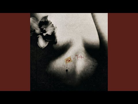 Самые страшные тени (Samyye strashnyye teni)