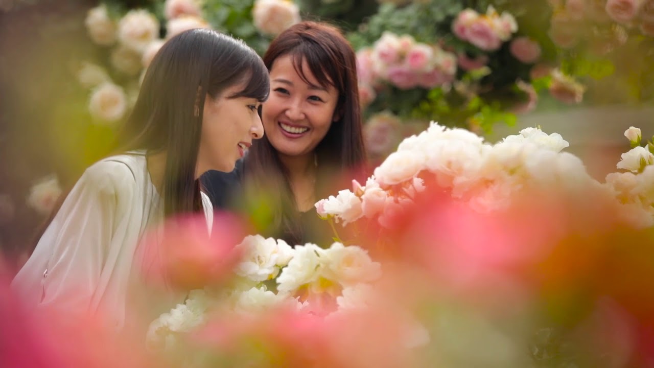 花巻温泉 バラ園 Hanamaki Onsen Rose Garden Youtube