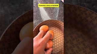GOLDZERA ADORA COMER OVOS NO ALMOÇO  #funny #shorts #youtubeshorts   #viral #comedy #dogs #foryou