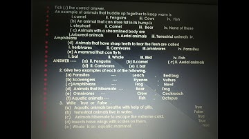 Class 4, Science, Chapter 4 Part 2 by Anubhuti Saxena