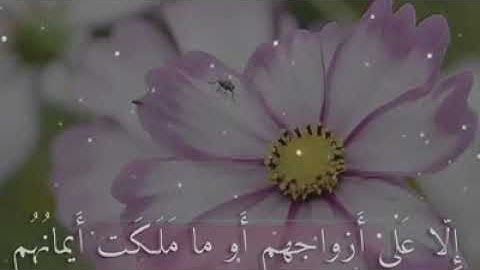 سورة المعارج بصوت الشيخ خالد الجليل تلاوة خاشعة بجودة عالية استمتعو #خالد_الجليل #قران_كريم #خشوع