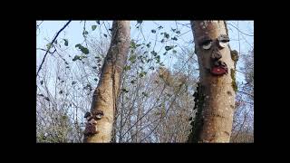 CUANDO EL BOSQUE TE MIRA Senda La Peridiella, en Infiesto, ASTURIAS