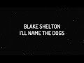 Blake Shelton - I'll Name The Dogs (Lyrics)