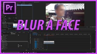 How to Blur a Face in Adobe Premiere Pro CC (2017)