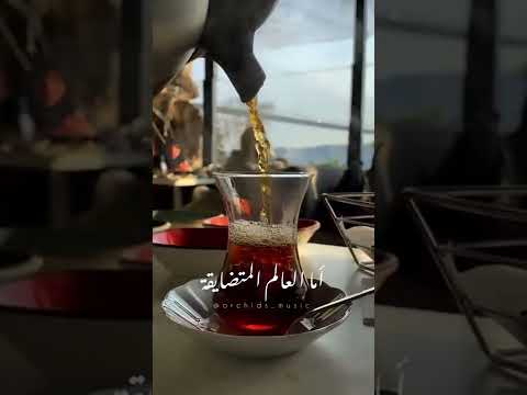 الناس الرايقة حالات