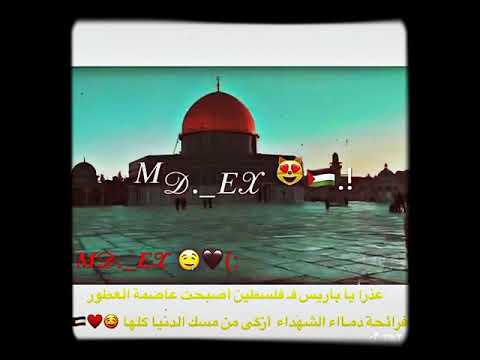 اغنية يلا امشوا معانا ع فلسطـين 