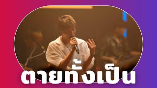 ตายทั้งเป็น - เต๋า ทัศนัย | เต๋า The Voice | TOWTAO [ LIVE@24 Bar x สุพรรณบุรี ] - 25 ก.ย. 65