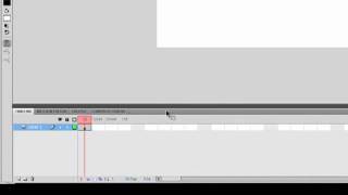 Details Flash Buttons.mp4 Update