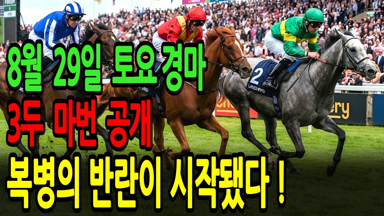 8월 29일 토요일 경마~ 복병의 반란이 시작됐다! | 이번 주말 대박 복병 공개ㅣ승전경마 전문가의 이변 포착 l 경마 l 경마예상 l 코리아레이스 l 검빛경마 ㅣ경마정보