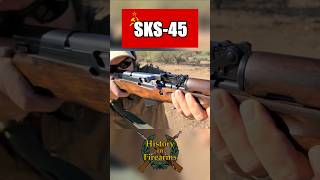 Shooting a SKS