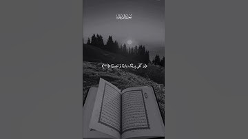 #تلاوة_خاشعة #المصحف #القرآن_الكريم #راحة_نفسية #اكسبلور #دويتو #duet