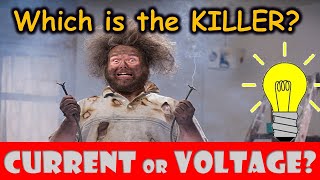 WHO ACTUALLY KILLS, CURRENT OR VOLTAGE