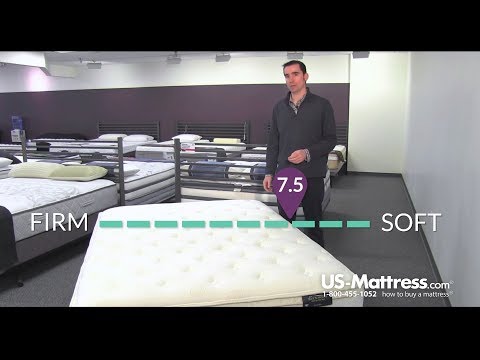 spring-air-back-supporter-value-wilshire-euro-top-mattress